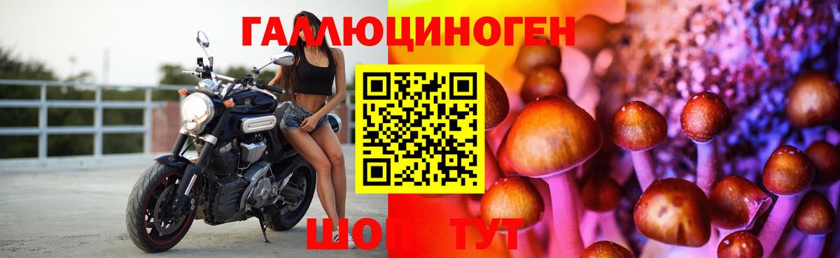 Галлюциногенные грибы Psilocybe Сергиев Посад